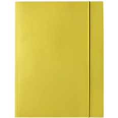 Teczka kartonowa z gumką A4 LIT żółta 400114423 BANTEX