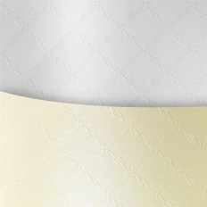 Karton wiz.A4 CHIC diamentowa biel 220g (20ark) 204501 Galeria Papieru
