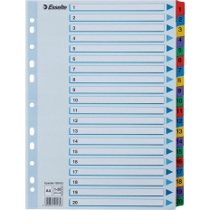 Przekładki kartonowe MYLAR A4 1-20 białe 100163 ESSELTE