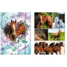 Teczka z gumką A4 STK SWEET HORSES 298952 STARPAK