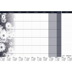 BIUWAR wkład miesięczny 470x330mm 0318-0007-99 PANTA PLAST