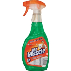 Płyn do szyb MR MUSCLE 500ml z rozpylaczem zielony *139266